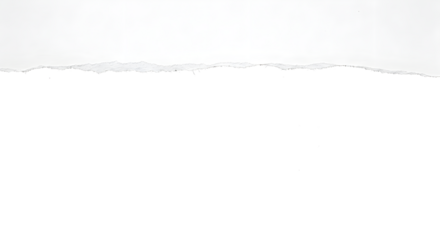 Torn paper edge with rough texture, black and white contrast background isolated on transparent background