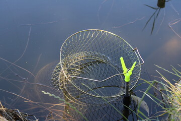 A fishing net partially submerged in still pond water.