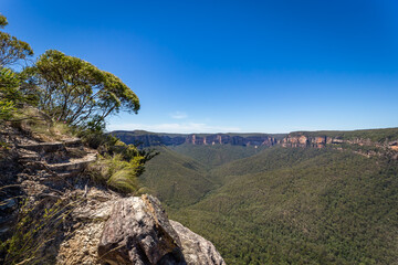 Pulpit Rock Lookout, a panoramic view of the Blue Mountains National Park in New South Wales, Australia, featuring a lush valley, rugged cliffs, and a clear blue sky.