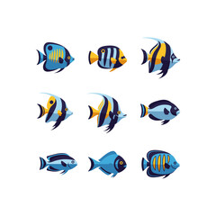 Fototapeta premium Flat Vector Illustration of Collection of Colorful Cartoon Fish Illustrations