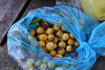 Yellow plums in a blue plastic bag on wooden surface.