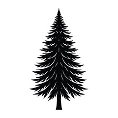 Fototapeta premium Majestic Evergreen Tree Silhouette Black and White Image