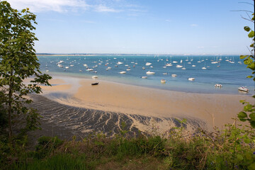 Studland Bay and South Beach at low tide, with many anchored yachts: Isle of Purbeck, Dorset, UK