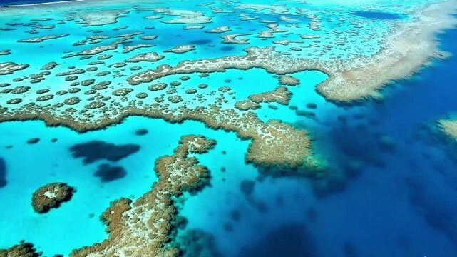 Aerial drone dolly in shot of world largest barrier reef , Great Barrier Reef Coral Pacific Ocean Queensland Australia.
