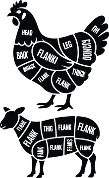 Butcher's Guide Chicken and Sheep Meat Cuts Illustration with Labeled Sections of Poultry and Lamb