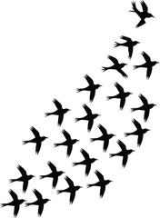 Fototapeta premium Flock of Birds Silhouettes Flying Together on a White Background, Swallows in Flight