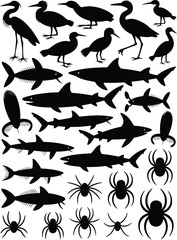 Fototapeta premium Silhouetted Birds, Sharks, and Spiders on a White Background Illustration and Graphics