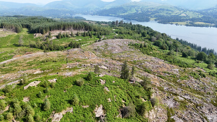 Drone view of forested hillside with large areas of cleared trees, overlooking a lake and distant...