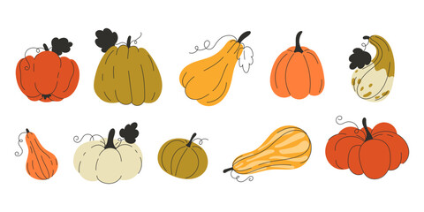 Flat style autumn pumpkin set in warm fall colours