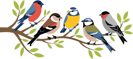 Six Colorful Cartoon Birds Perched on a Branch with Green Leaves, Illustration