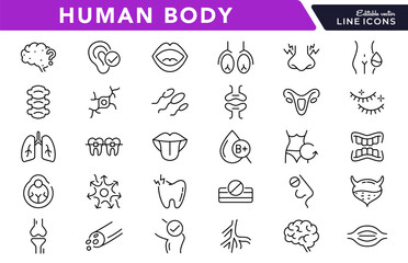 Human Body linear icon set. Organs, body parts, skeleton parts, pictograms, joint, knee, x-ray, arthritis, autoimmune, gout, inflammation line icon set. Ui thin line icon pack.