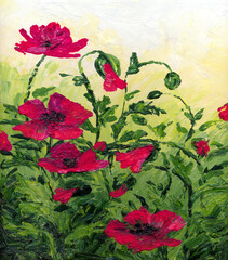 Oil painting. Red poppies in the field