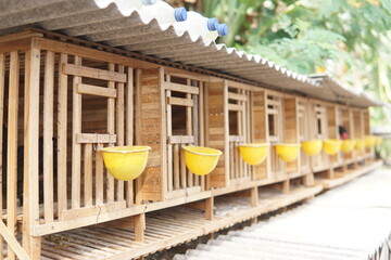 traditional chicken coop made of bamboo.