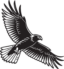Falcon or eagle  flying silhouette