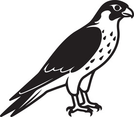 Falcon or eagle  flying silhouette