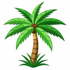 PLAM TREE VACTOR ART