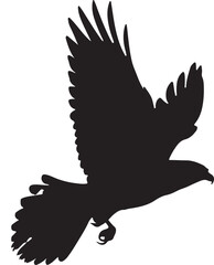 Falcon or eagle  flying silhouette