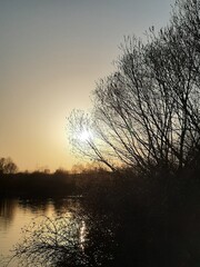 See im Sonnenuntergang mit kahlen Bäumen im Gegenlicht 