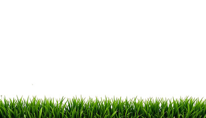 Fresh Green Grass Border on Transparent White Background