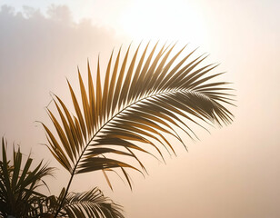 Fototapeta premium Golden Palm Leaf Silhouette at Sunset