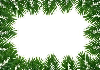 Vibrant green Areca palm fronds with detailed venation and glossy texture forming an elegant organic border on a seamless transparent background with extensive copy space, pristine studio photography,