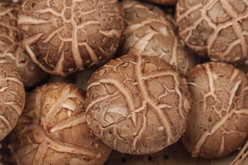Jamur Shitake. Shiitake mushrooms (Lentinula edodes) are a type of mushroom that is popular in Asian cuisine.