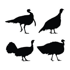 turkey birds black silhouette illustration on whtie background vol 02