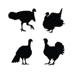 turkey birds black silhouette illustration on whtie background vol 01