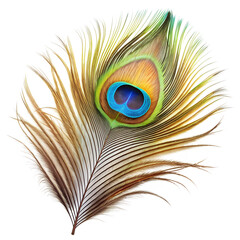 Obraz premium Peacock Feather PNG Isolated on Transparent Background – Elegant and Colorful Detail