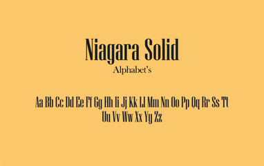 An Illustration Of NIAGARA SOLID Font With Comfort Bg, Or With Icon's That Can Be Editable.