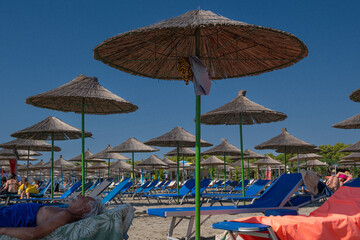 forest of umbrellas