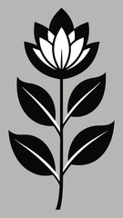 Elegant Monochrome Botanical Illustrations Flowers Leaves and Plants