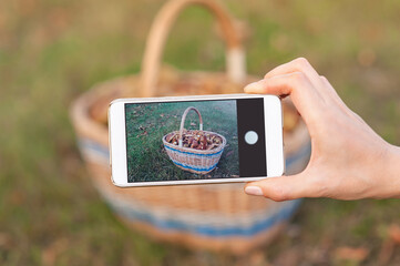 Mushroom Identification App: Classifying Edible Foraged Fungi
