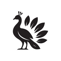 Obraz premium A stylized black peacock with leaf shaped tail feathers on a white background