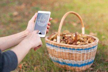 Using photo App for Outdoor Identification and Collection