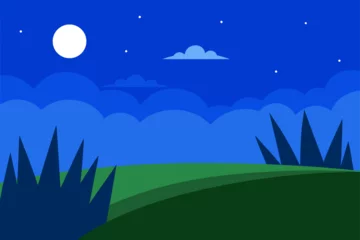 Gordijnen A serene night landscape with a moon and stars illuminates the green grass and trees, blending nature's beauty into a captivating illustration © swapon