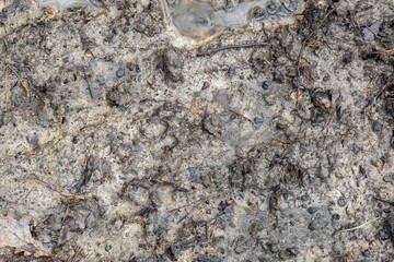 Texture of mud and wet soil after rain