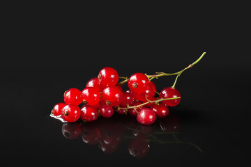Red berries. Red currant. Close-up red berries on wet dark background