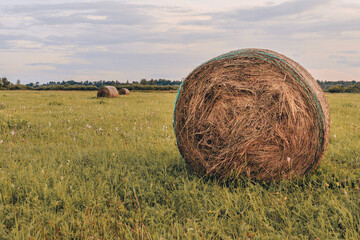 Hay bales in field at dusk in Latvia