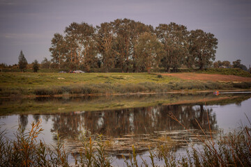 A beautiful river in a city area with aquatic plants, canes, reeds and trees on the shore