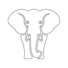 elephant isolated on white