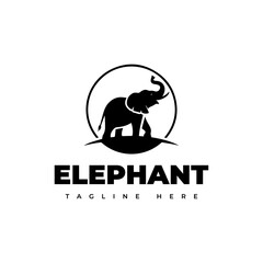 black and white elephant