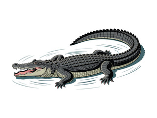 Fototapeta premium Crocodile isolated on white background