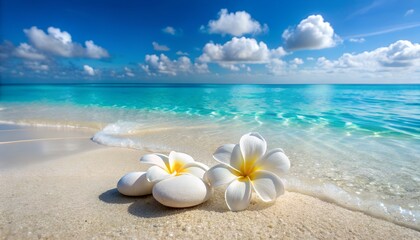 Photo of two white plumeria flowers and smooth white stones rest on a pristine beach next to a calm ocean