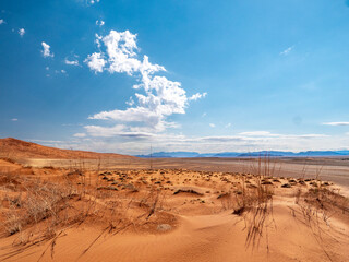 Barren but beautiful landscape on the drive from Agama Lodge to Sossusvlei.