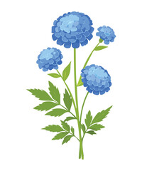 Charming Blue Daisy Plant with Buds and Leaves