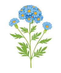 Vibrant Blue Daisy Bunch with Green Foliage