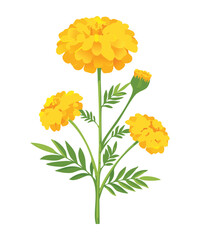 Sunny Yellow Marigold Bunch with Green Foliage