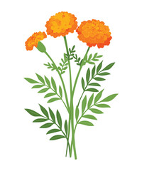 Cheerful Orange Marigold Flower with Green Leaves