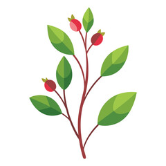 Flowers leaves  flat design on white background isolated